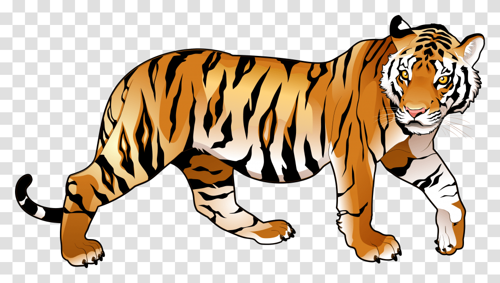 Tiger Images The Deadly Asian Cat Only, Wildlife, Mammal, Animal, Zebra Transparent Png