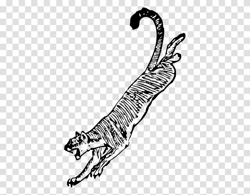 Tiger Jumping Attacking Attacker Dangerous Animals Cougar Clip Art, Gray, World Of Warcraft Transparent Png