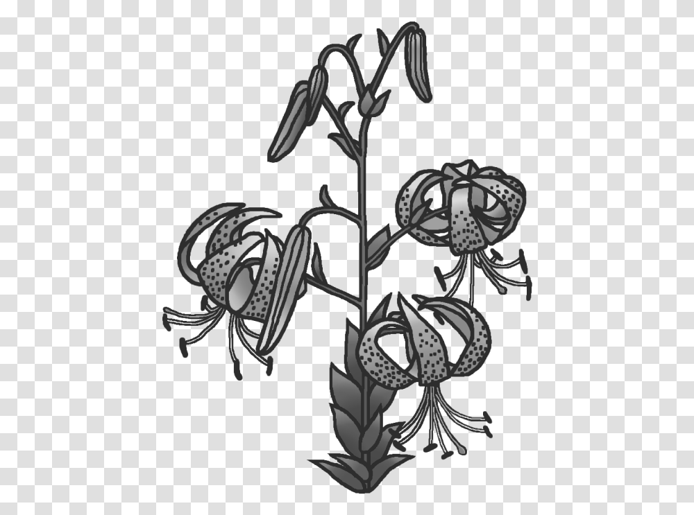 Tiger Lily, Floral Design, Pattern Transparent Png