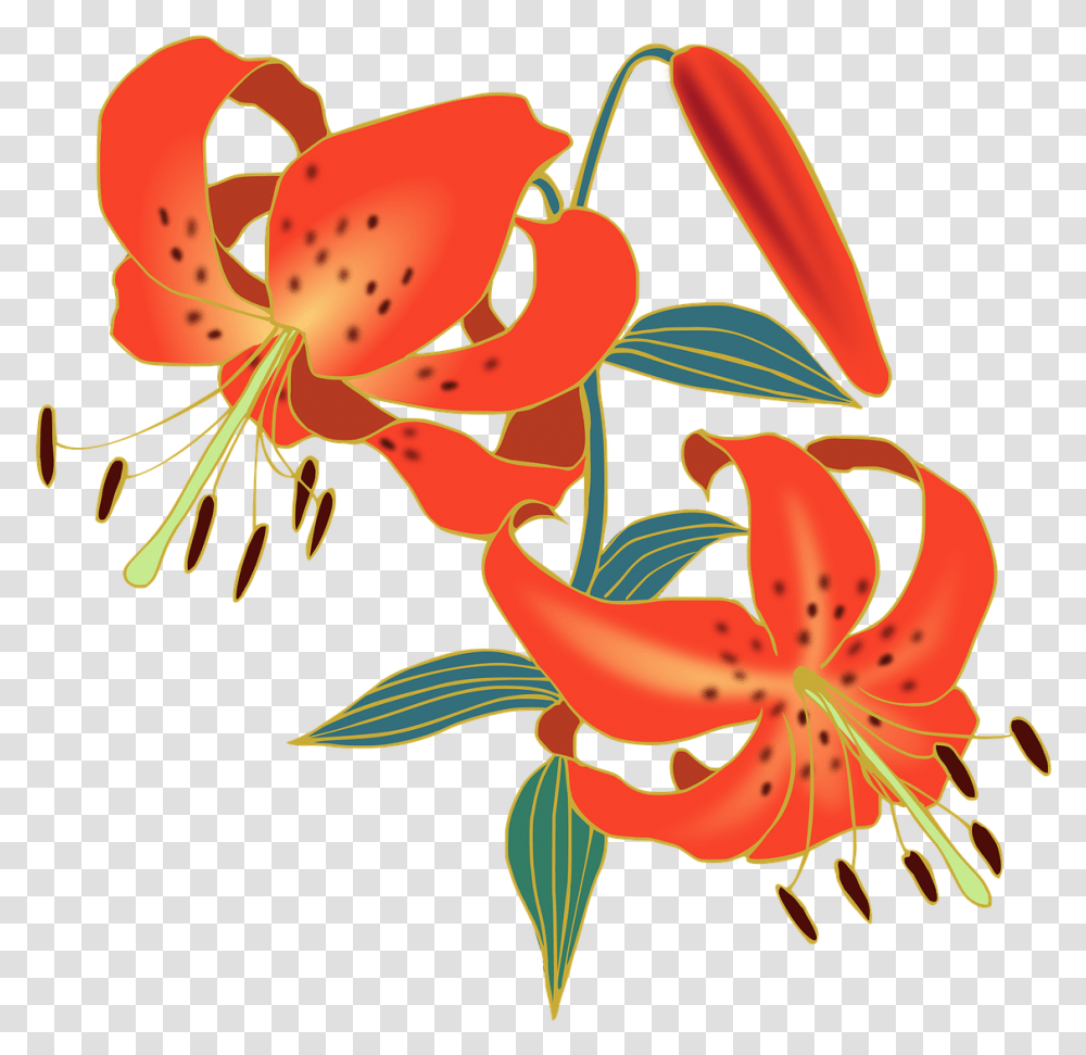 Tiger Lily Flower, Plant, Blossom, Anther, Pollen Transparent Png