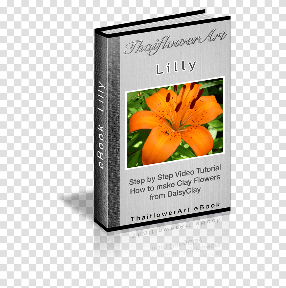 Tiger Lily, Plant, Word, Label Transparent Png