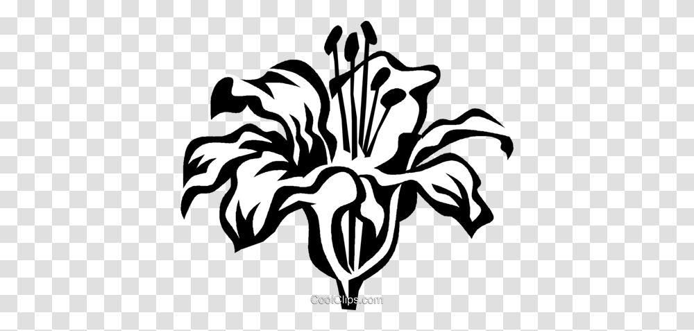 Tiger Lily Royalty Free Vector Clip Art Illustration, Stencil, Hibiscus, Flower, Plant Transparent Png