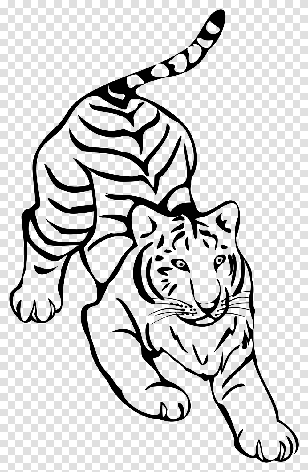 Tiger Line Art By Naobim Clip Arts Tiger Line Art, Gray Transparent Png