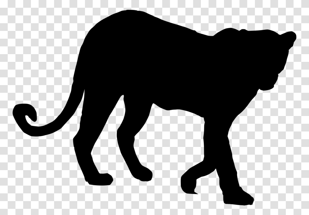Tiger Lion Vector Graphics Royalty Free Illustration Tiger Silhouette Vector, Gray Transparent Png