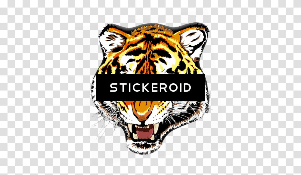 Tiger, Mammal, Animal, Label Transparent Png