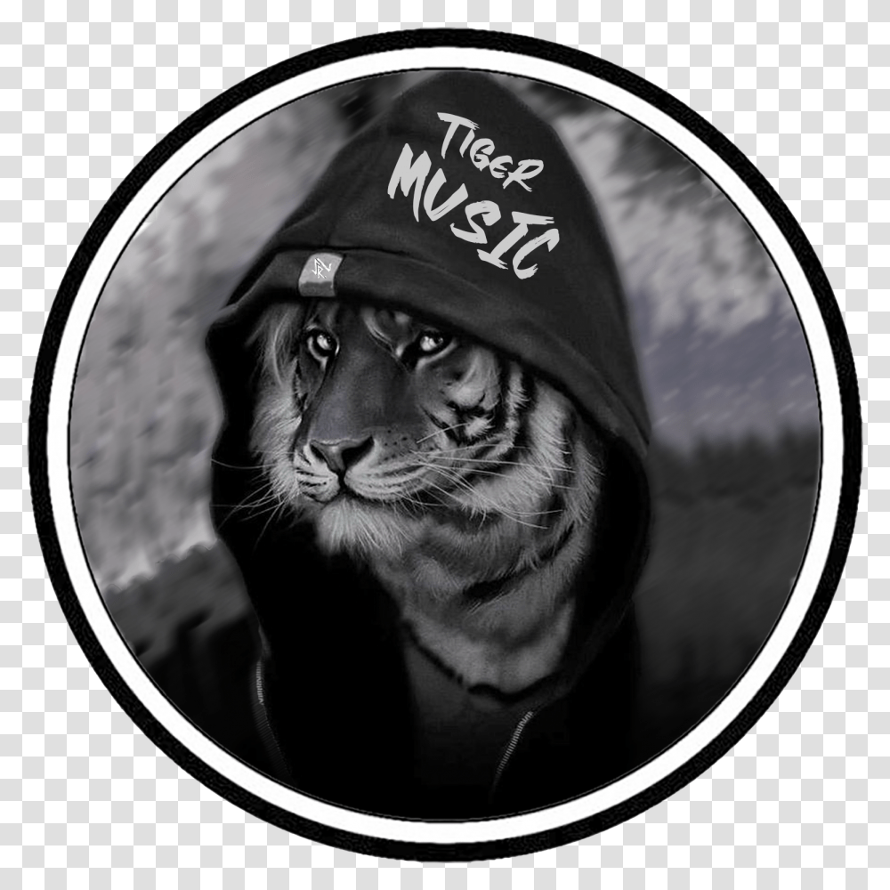 Tiger Music Logo This In 2020 Youtube, Wildlife, Animal, Mammal, Person Transparent Png