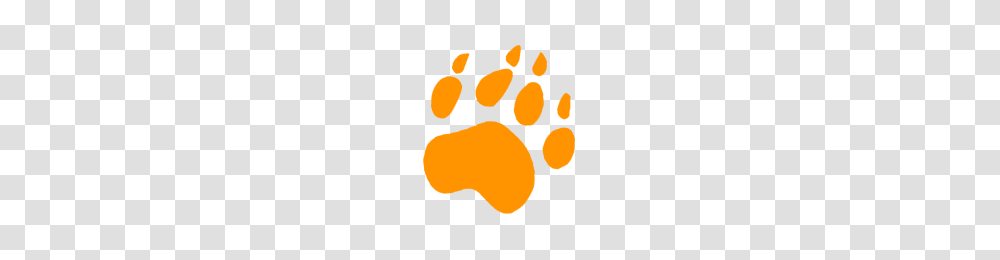 Tiger Paw, Footprint, Rug Transparent Png