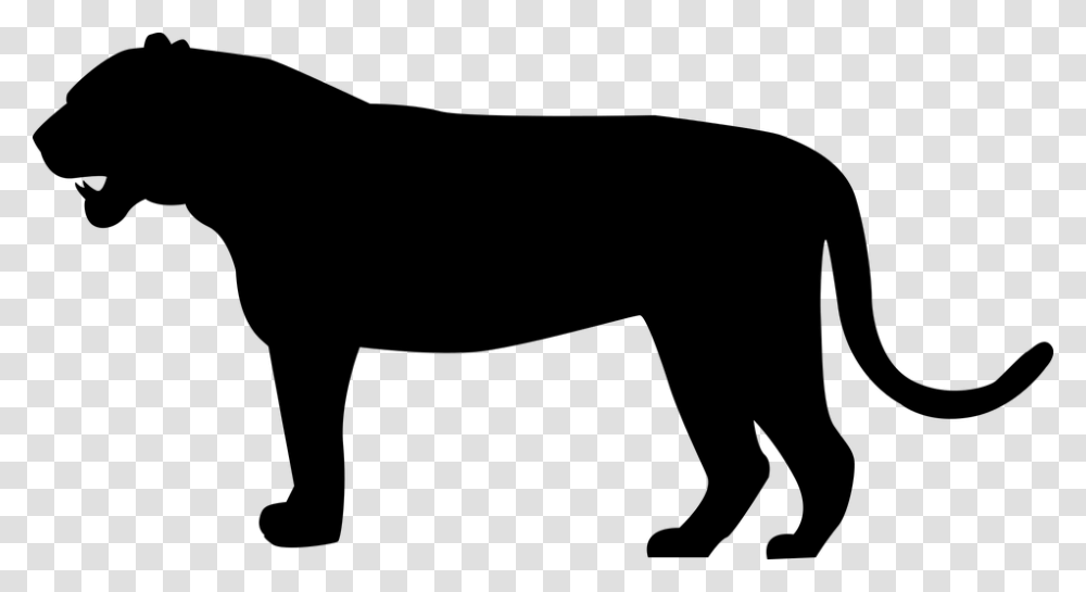 Tiger Predator Cat Big Cat Felidae Siberian Tiger Silhouette, Gray, World Of Warcraft Transparent Png