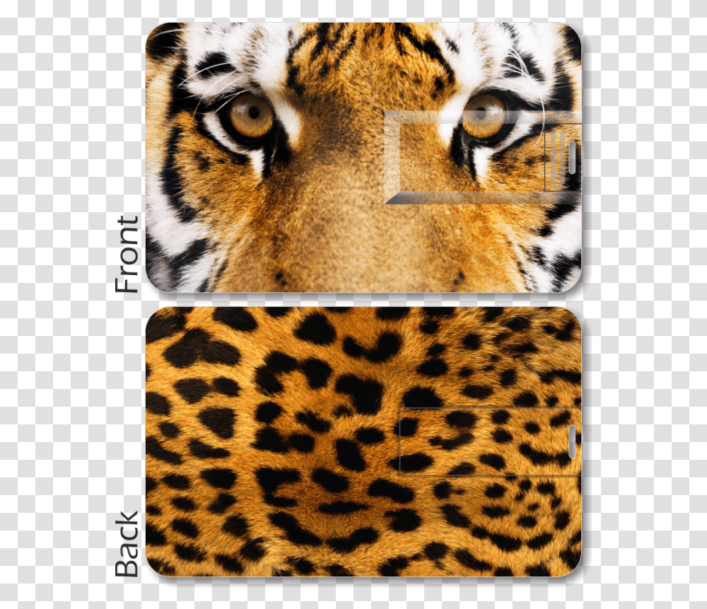 Tiger Print Card Pen Drive Cheetah Fur, Wildlife, Animal, Mammal, Panther Transparent Png