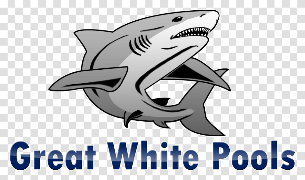 Tiger Shark, Sea Life, Fish, Animal, Great White Shark Transparent Png