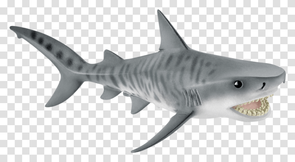 Tiger Shark Toys, Sea Life, Fish, Animal, Great White Shark Transparent Png