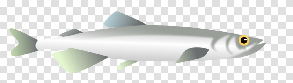 Tiger Shark, Weapon, Weaponry, Torpedo, Bomb Transparent Png