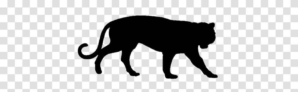 Tiger Silhouette Bigking Keywords And Pictures, Wildlife, Animal, Mammal, Panther Transparent Png