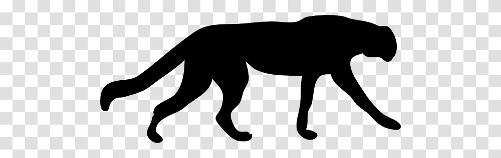 Tiger Silhouette, Stencil, Animal, Mammal, Dog Transparent Png