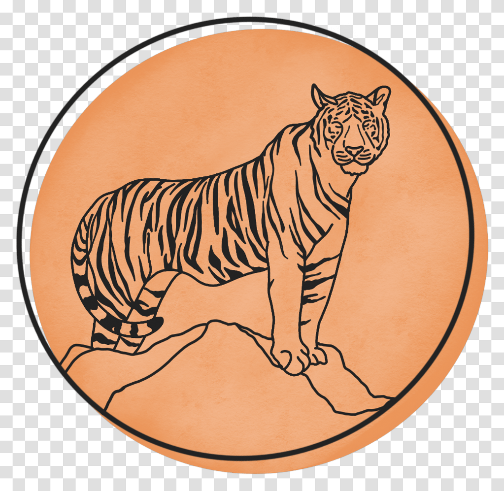 Tiger Sun Tee Untiled, Wildlife, Mammal, Animal, Leisure Activities Transparent Png