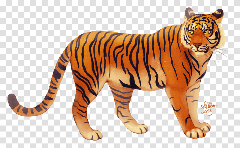 Tiger Transparent Png