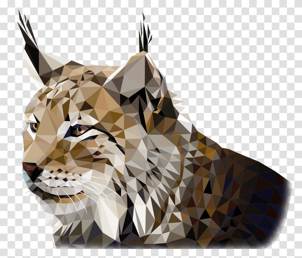Tiger, Wildlife, Animal, Mammal, Cheetah Transparent Png