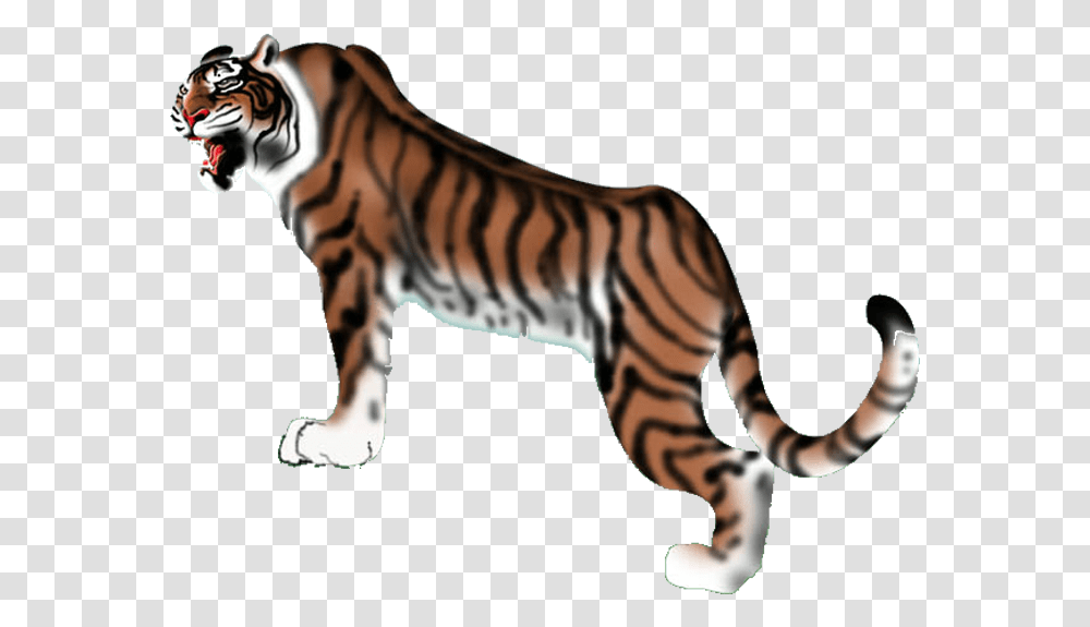 Tiger, Wildlife, Mammal, Animal, Zebra Transparent Png