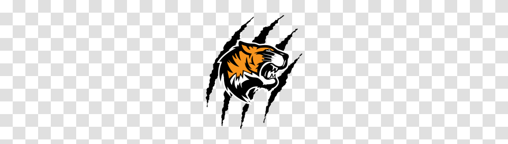 Tiger With Claw Marks, Dragon, Mammal, Animal Transparent Png