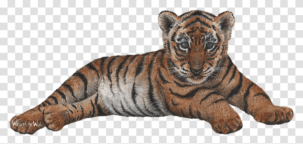 Tiger With Cub, Wildlife, Mammal, Animal Transparent Png