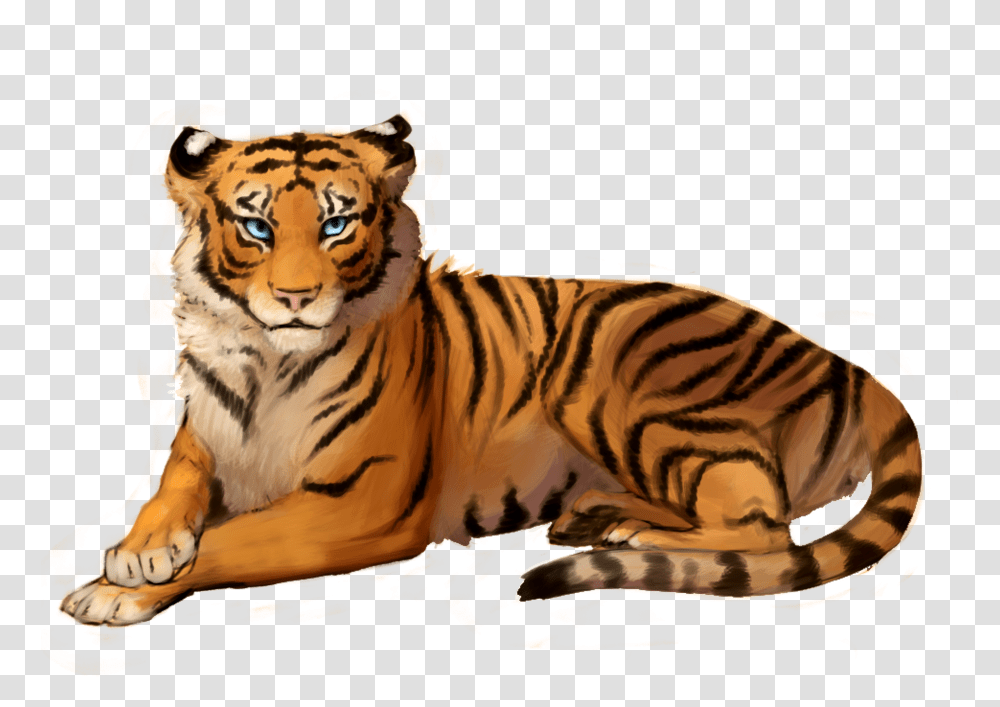 Tiger With Out Background, Wildlife, Mammal, Animal Transparent Png