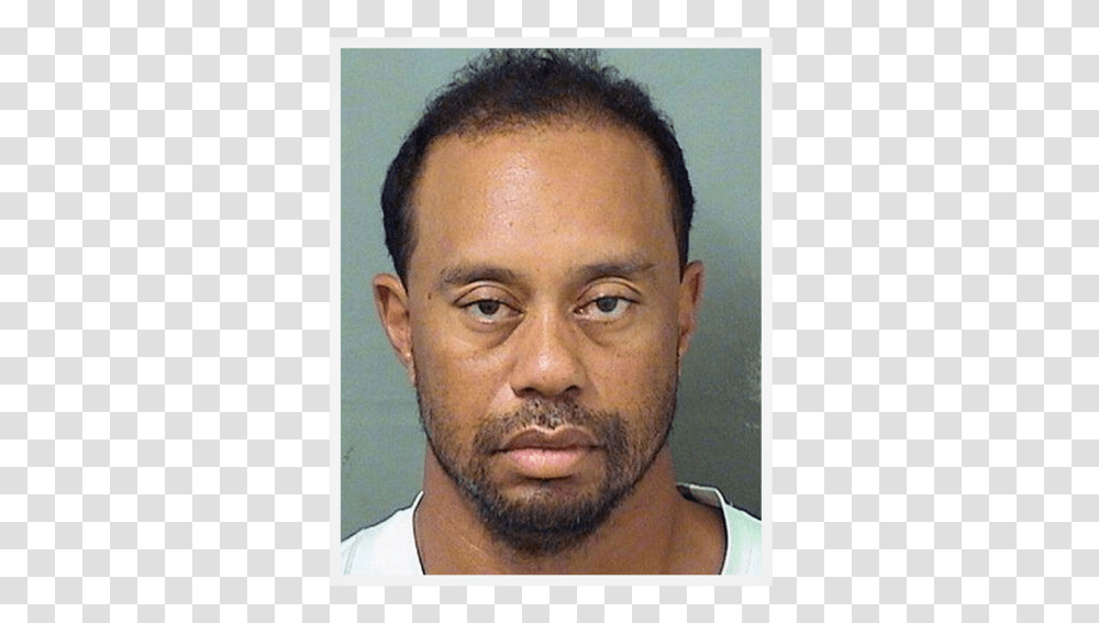 Tiger Woods, Face, Person, Human, Head Transparent Png