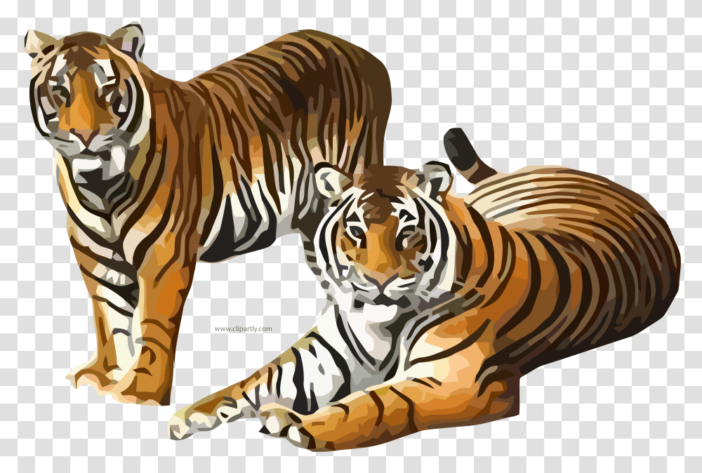 Tigers Clipart, Wildlife, Mammal, Animal, Zebra Transparent Png