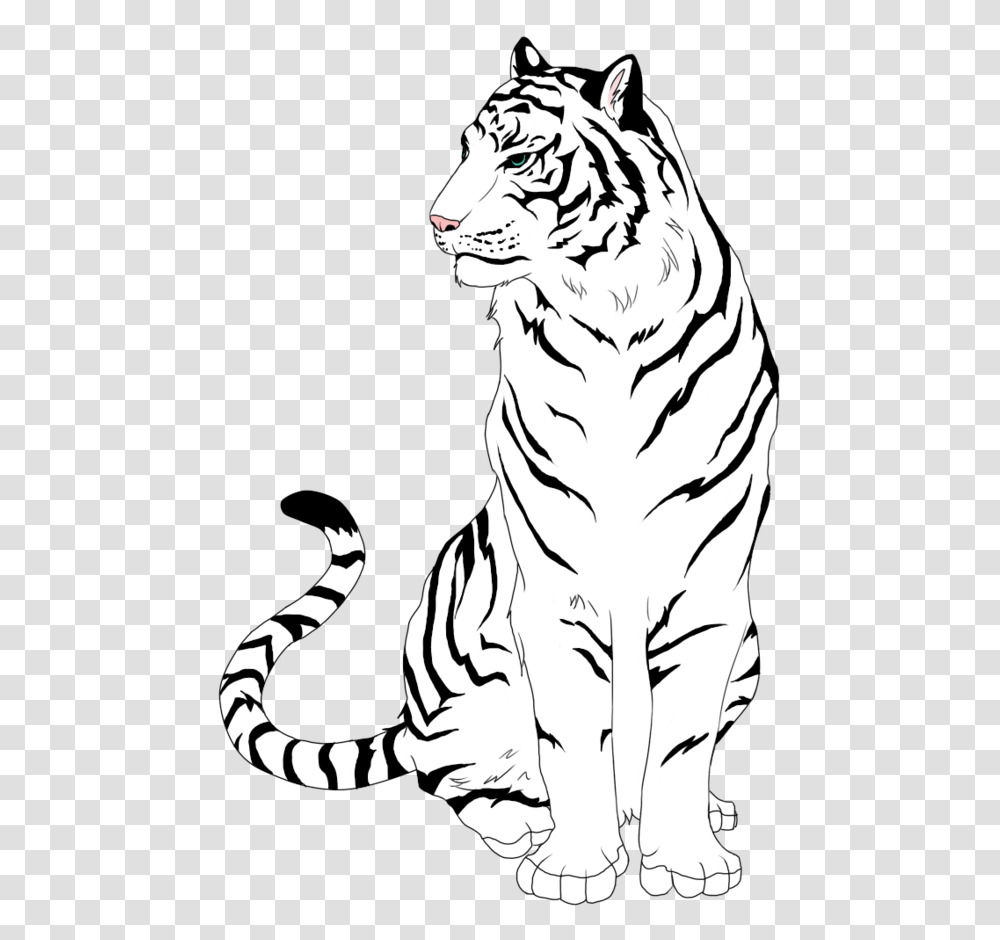 Tigers Drawing Tiger Cub & Clipart Free Draw A White Tiger, Wildlife, Mammal, Animal, Stencil Transparent Png