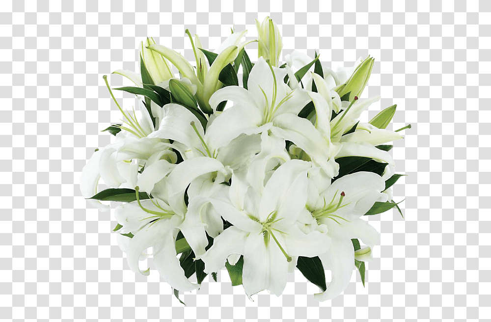 Tight Bouquet Of Lilies White Flower Bouquet, Plant, Blossom, Flower Arrangement, Lily Transparent Png