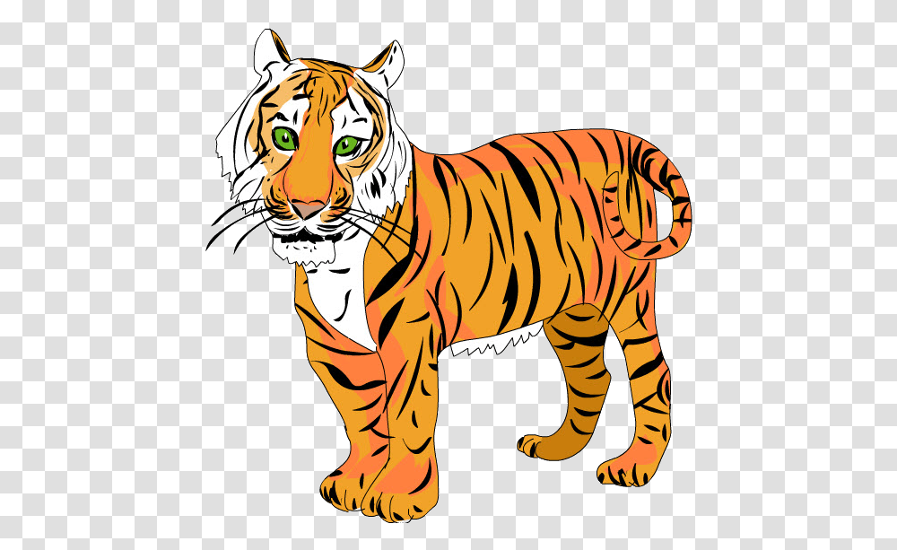 Tigre Tigre, Tiger, Wildlife, Mammal, Animal Transparent Png