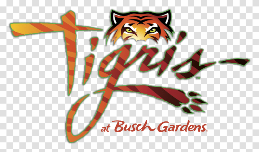 Tigris Logo Inside Universal Busch Gardens Tampa Bay, Label, Text, Art, Graphics Transparent Png