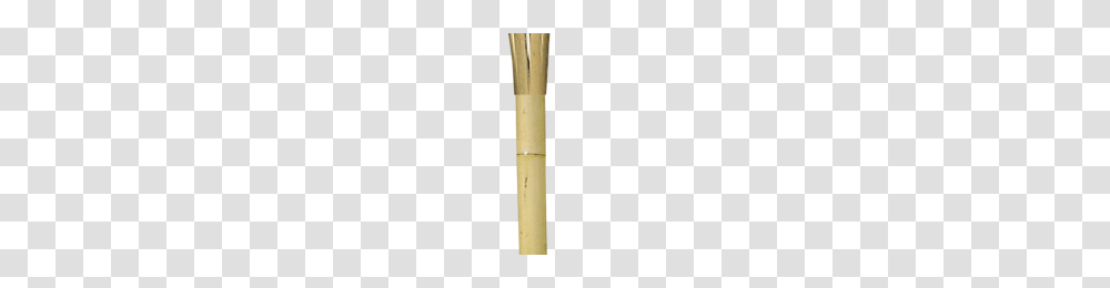 Tiki Torch Image, Cane, Stick, Plant Transparent Png