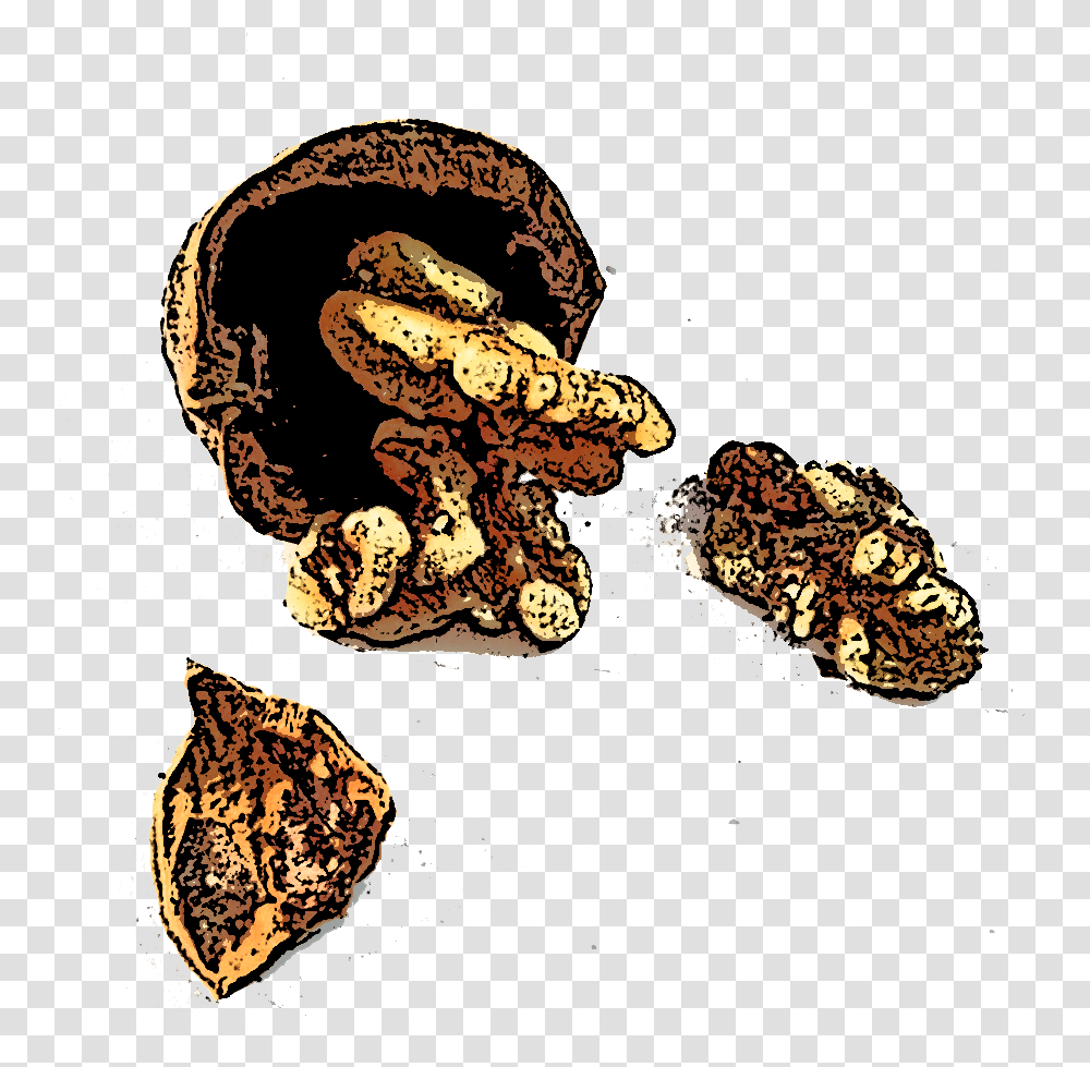 Tiko Walnuts Illustration, Animal, Reptile, Snake, Sea Life Transparent Png