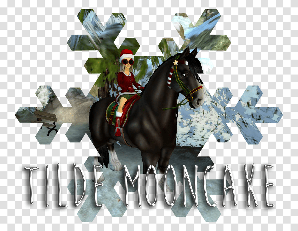 Tilde Mooncake Stallion, Horse, Mammal, Animal, Person Transparent Png