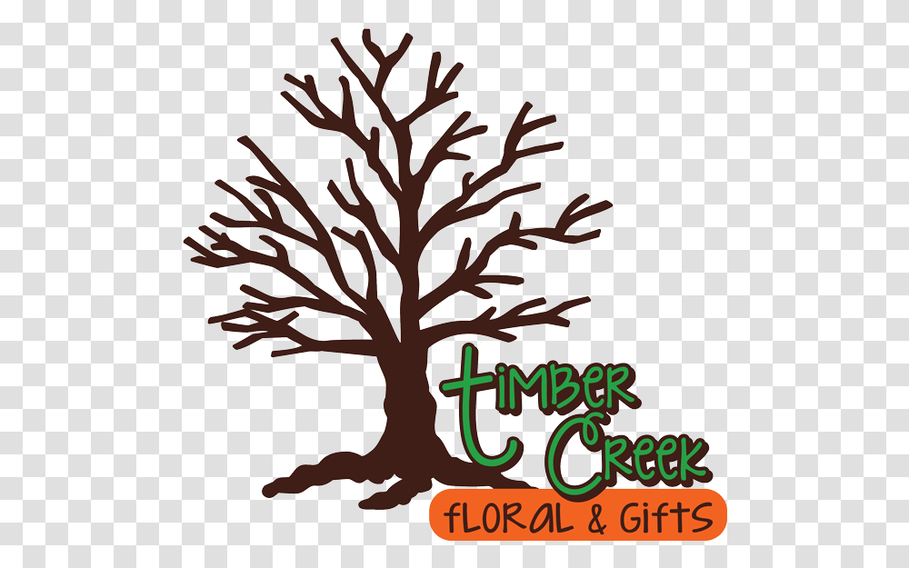 Timber Creek Floral And Gifts, Tree, Plant, Tree Trunk, Root Transparent Png