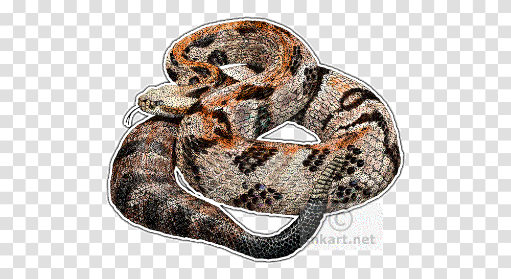 Timber Rattlesnake Decal West Virginia State Animal, Reptile, Anaconda Transparent Png