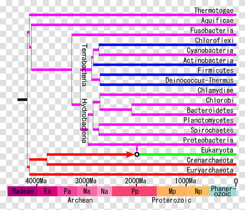 Timeline Of Life Number, Text, Monitor, Screen, Electronics Transparent Png