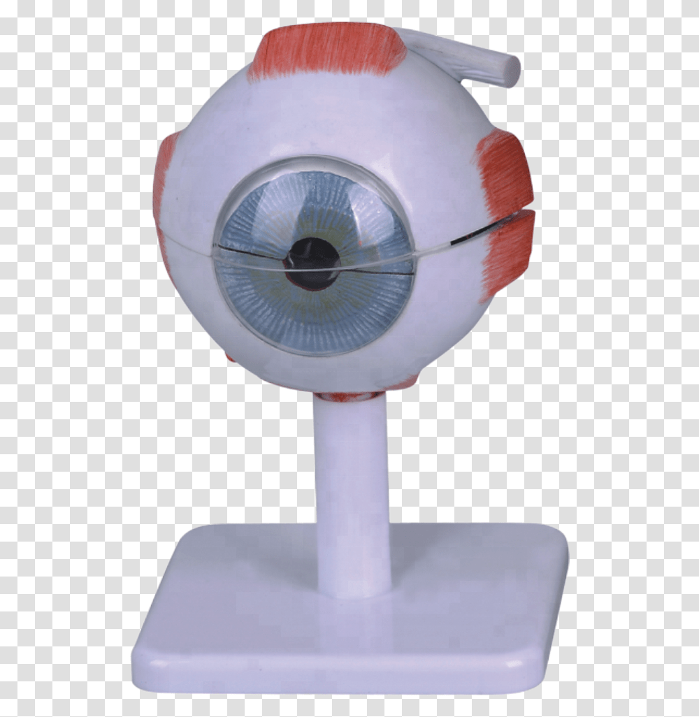 Times Enlargedplastic Human Eye Anatomy Model Plush, Lamp, Helmet, Apparel Transparent Png