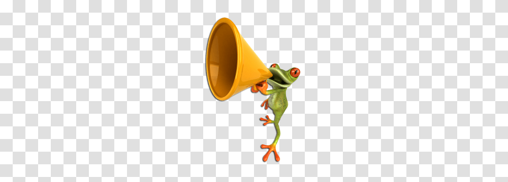Times Fun When Youre Havin Flies Kermit The Frog Sally, Amphibian, Wildlife, Animal, Person Transparent Png