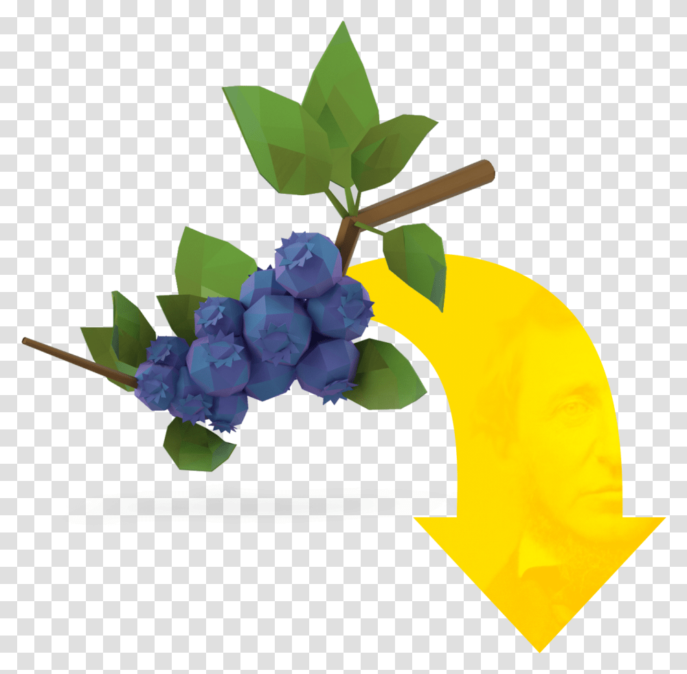 Timing Is Everything Bostonia Bu Alumni Magazine, Plant, Grapes, Fruit, Food Transparent Png