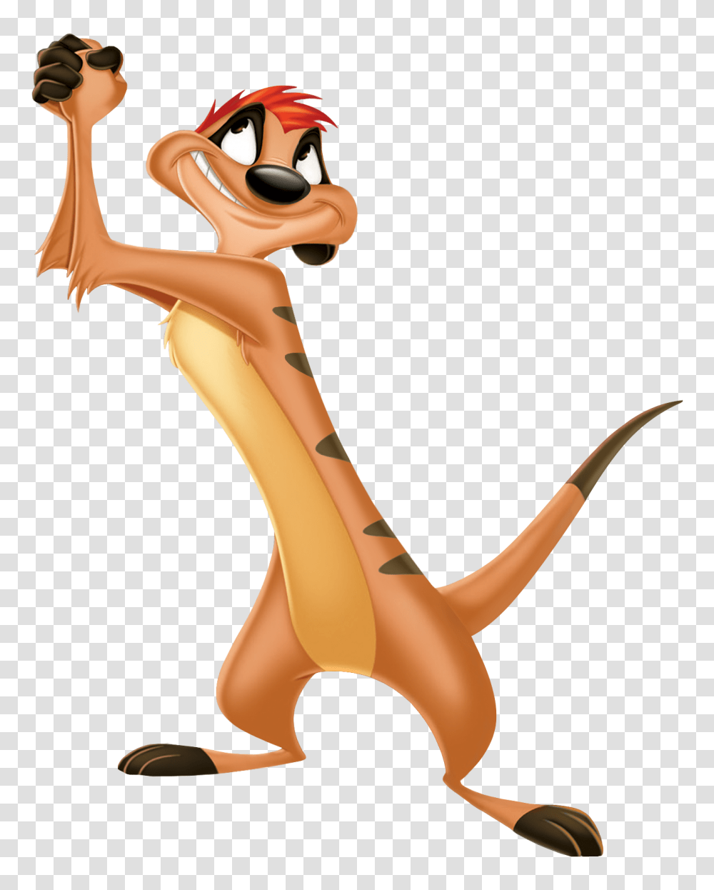 Timon Clip Art, Poster, Advertisement, Person Transparent Png