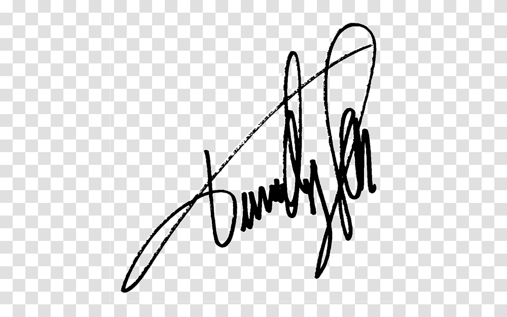 Timothy Spall Signature, Bow, Handwriting, Autograph Transparent Png