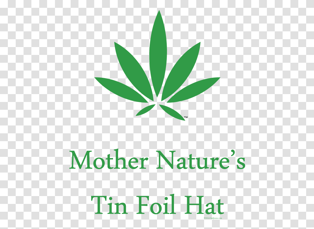 Tin Foil Hat Military Rank, Plant, Leaf, Vegetation, Green Transparent Png