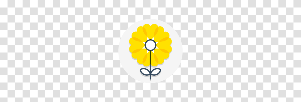 Tin Man, Rattle, Dandelion, Flower, Plant Transparent Png