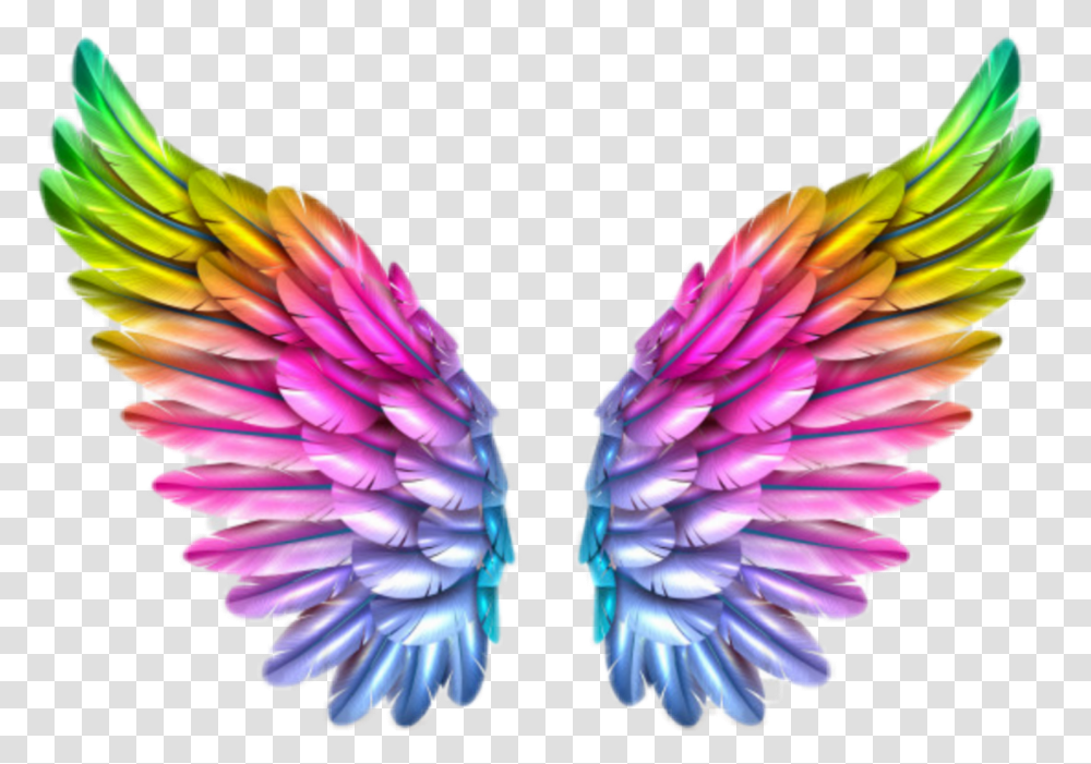 Tinkerbell Wings Colorful Angel Wings, Pattern, Purple Transparent Png