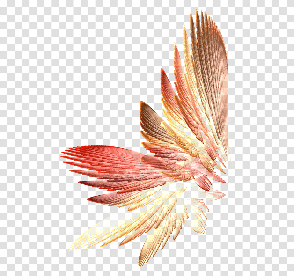 Tinkerbell Wings Flowers Wing, Bird, Animal, Plant, Flying Transparent Png