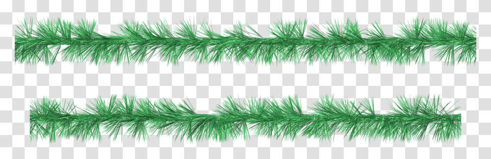 Tinsel, Holiday, Plant, Dill, Seasoning Transparent Png