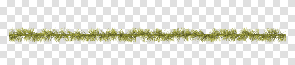 Tinsel, Holiday, Plant, Tree, Conifer Transparent Png