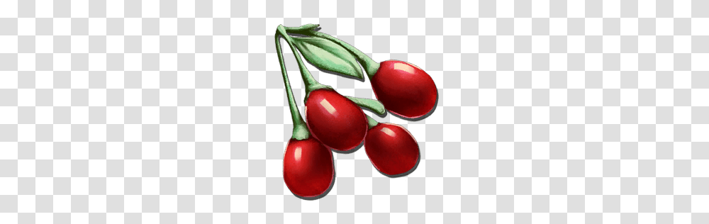 Tintoberry, Plant, Fruit, Food, Cherry Transparent Png