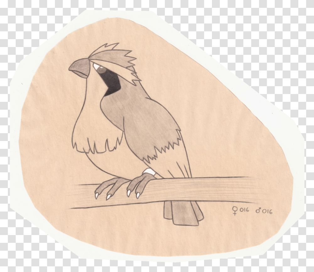 Tiny Bird Pokemon Illustration, Animal, Drawing, Wood Transparent Png